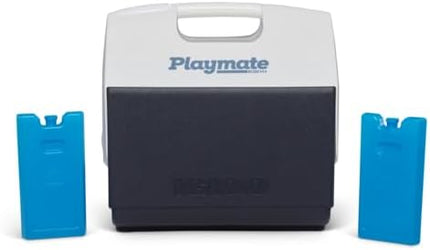 Product Image 6 - Igloo Small Maxcold 4 