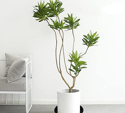 Product Image 5 - Bleuhome 6 Pack 10 inc