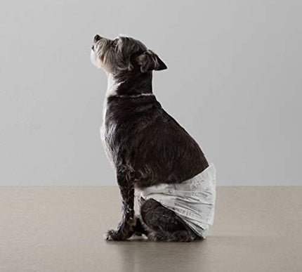 Product Image 7 - Amazon Basics Male Dog