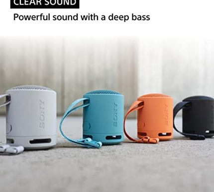 Product Image 3 - Sony SRSXB100 Wireless