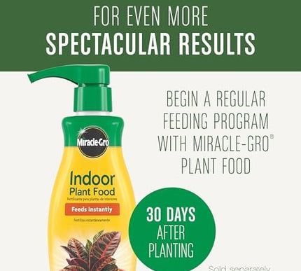 Product Image 3 - MiracleGro Houseplant 