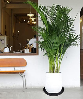 Product Image 7 - Bleuhome 6 Pack 10 inc