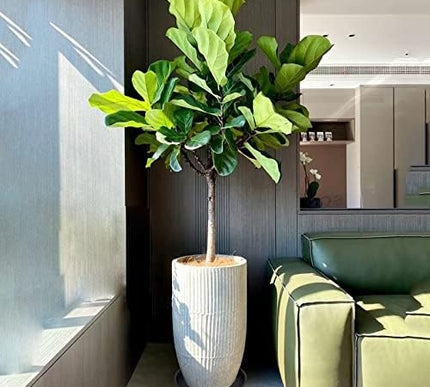 Product Image 2 - Bleuhome 6 Pack 10 inc