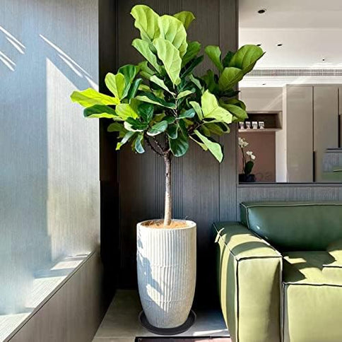 Product Image 2 - Bleuhome 6 Pack 10 inc