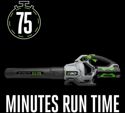 Product Image 4 - EGO POWER Leaf Blower 