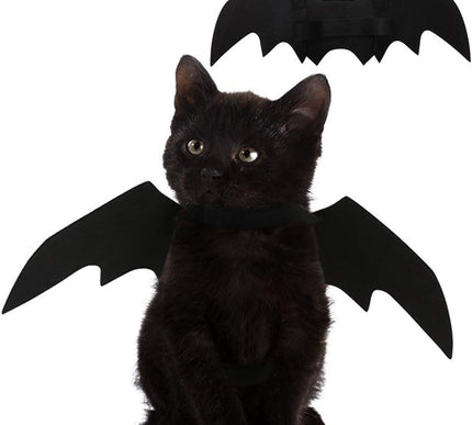 Product Image 1 - Pet Cat Bat Wings for 