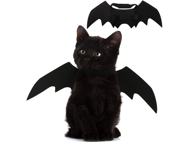 Product Image 1 - Pet Cat Bat Wings for 