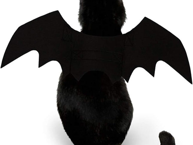 Product Image 2 - Pet Cat Bat Wings for 