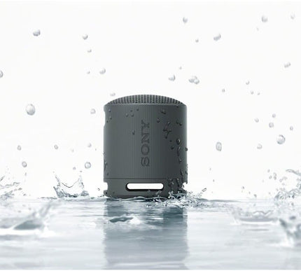 Product Image 5 - Sony SRSXB100 Wireless