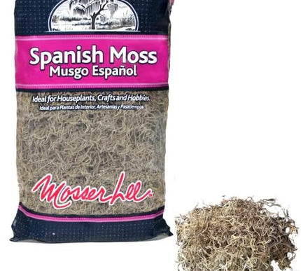 Product Image 6 - Mosser Lee Spanish Mos
