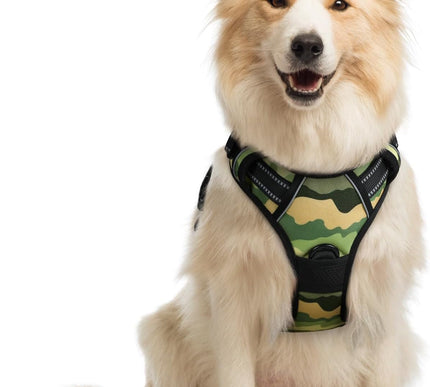 Product Image 1 - rabbitgoo Dog Harness 