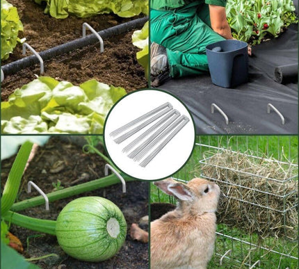 Product Image 7 - FEED GARDEN 6 Inch 50 