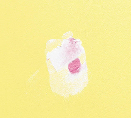 Product Image 4 - 12 pt DAP 12328 DryDex