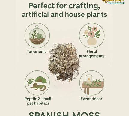 Product Image 3 - Mosser Lee Spanish Mos