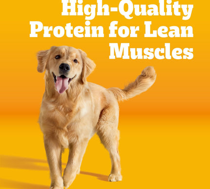 Product Image 2 - Pedigree Complete Nutr
