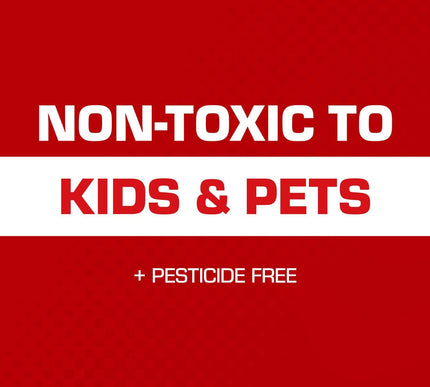 Product Image 6 - Tomcat Mouse Trap with