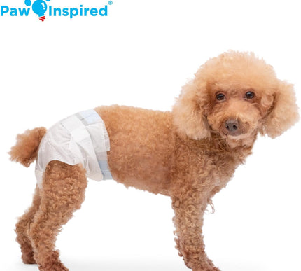 Product Image 4 - Paw Inspired 32ct Disp