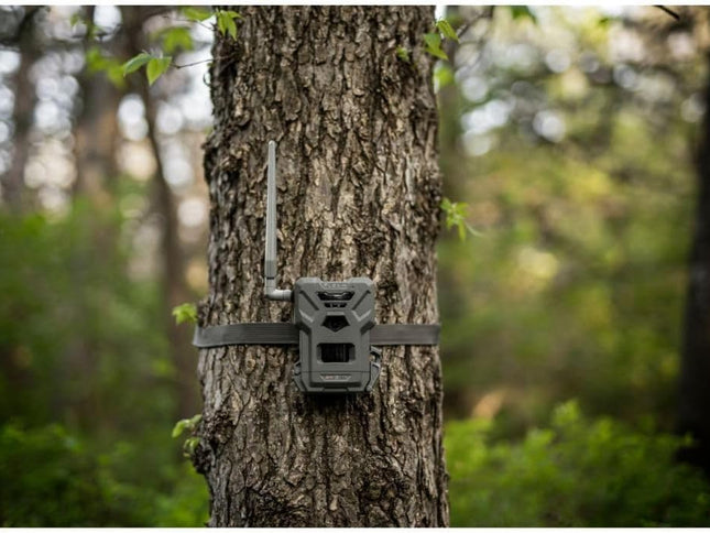 Product Image 2 - SPYPOINT Flex-M Twin P