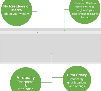 Product Image 3 - LFSYS 50 Pack Window F