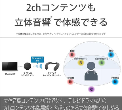 Product Image 7 - Sony SRSNS7 Wireless N