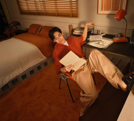 Product Image 2 - Bose SoundLink Home Sp