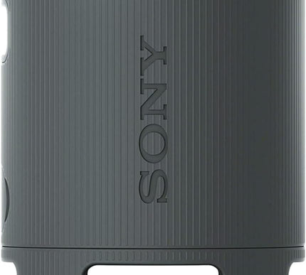 Product Image 4 - Sony SRSXB100 Wireless