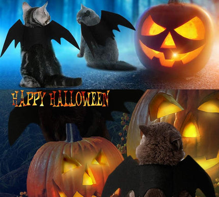 Product Image 6 - Pet Cat Bat Wings for 