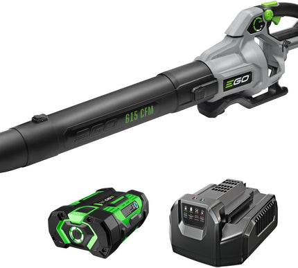 Product Image 1 - EGO POWER Leaf Blower 