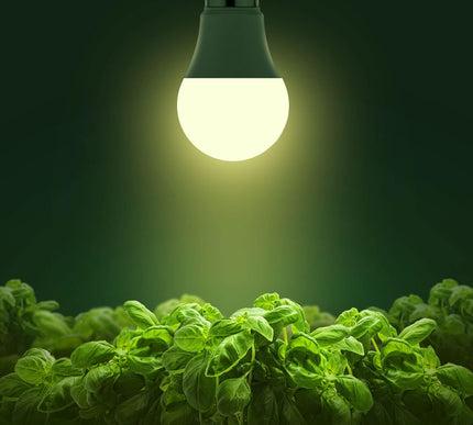 Product Image 2 - Briignite Grow Light B