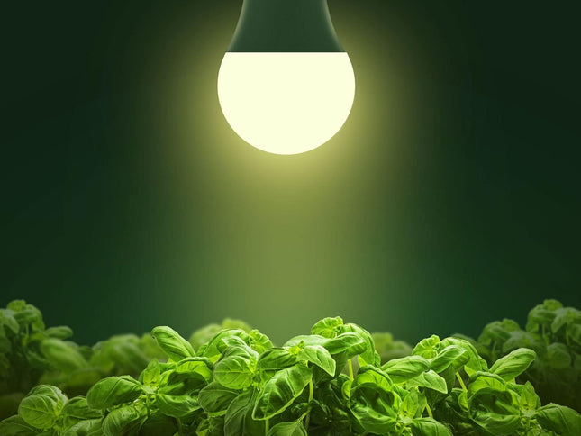 Product Image 2 - Briignite Grow Light B