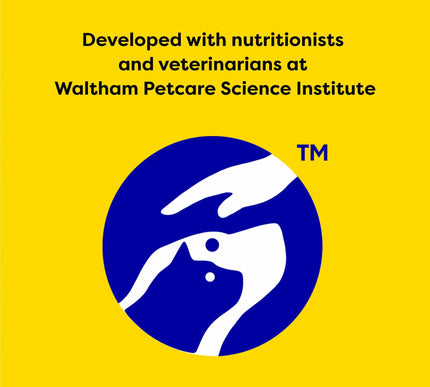 Product Image 8 - Temptations MixUps Sur