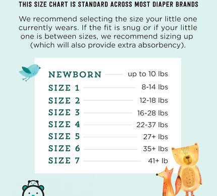 Product Image 5 - Amazon Brand Mama Bear