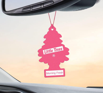 Product Image 5 - LITTLE TREES Car Air F