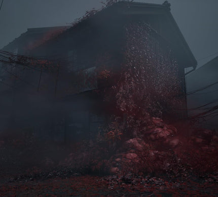 Product Image 5 - Silent Hill f PlayStat