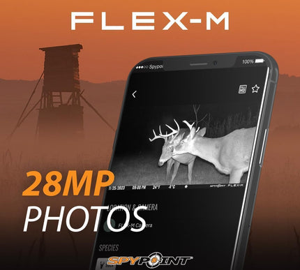 Product Image 6 - SPYPOINT Flex-M Twin P