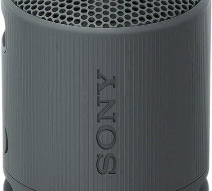 Product Image 2 - Sony SRSXB100 Wireless