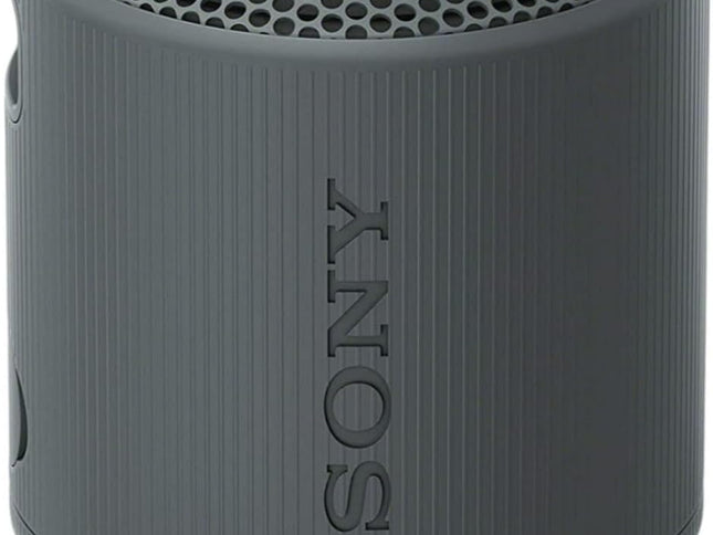 Product Image 2 - Sony SRSXB100 Wireless
