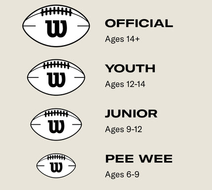 Product Image 6 - Wilson NFL MVP Footbal