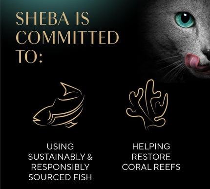 Product Image 7 - Sheba Perfect Portions