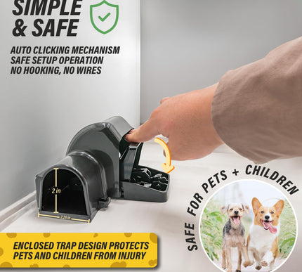 Product Image 4 - TRATPER Rat and Chipmu