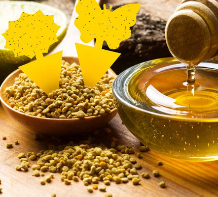 Product Image 8 - Fruit Fly Traps Fungus