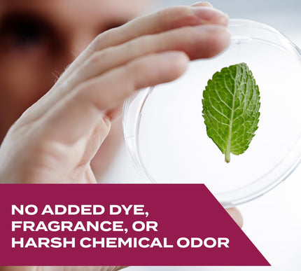 Product Image 5 - STEM Kills Ants Roache