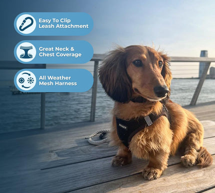 Product Image 3 - Best Pet Supplies Voya