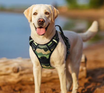 Product Image 8 - rabbitgoo Dog Harness 