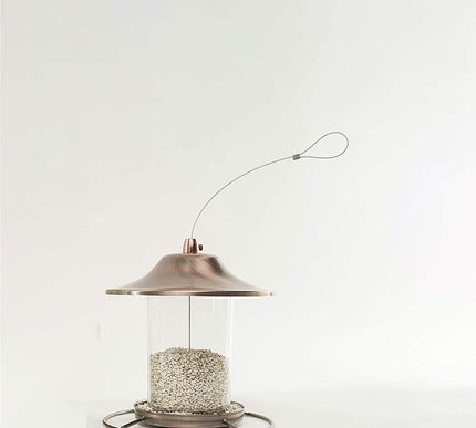 Product Image 8 - Wagners 57075 Safflowe