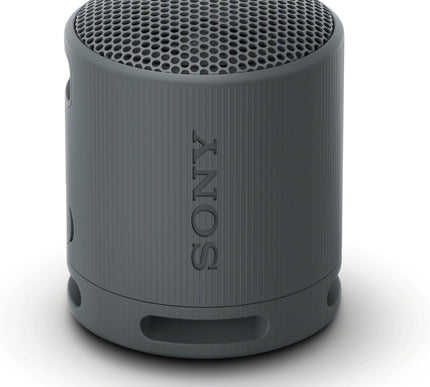 Product Image 1 - Sony SRSXB100 Wireless