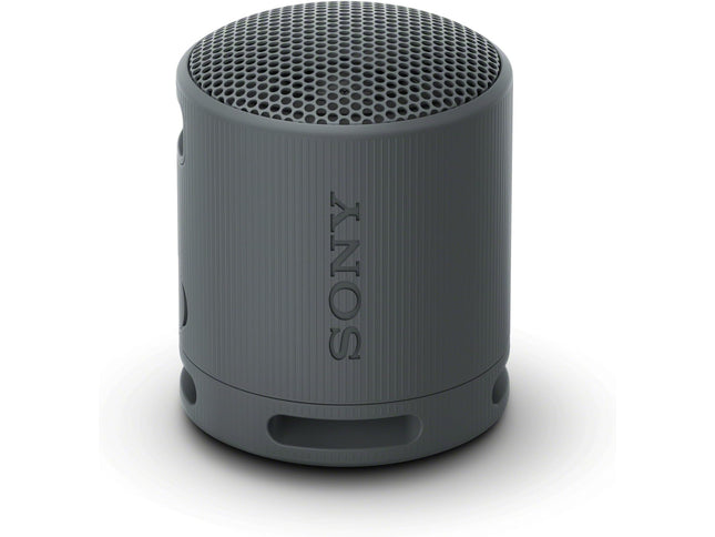 Product Image 1 - Sony SRSXB100 Wireless