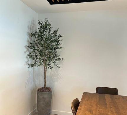 Product Image 5 - Mosser Lee Spanish Mos