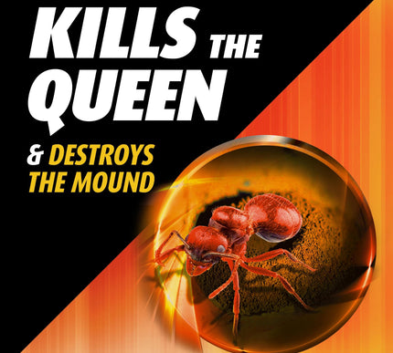 Product Image 3 - Ortho Orthene Fire Ant