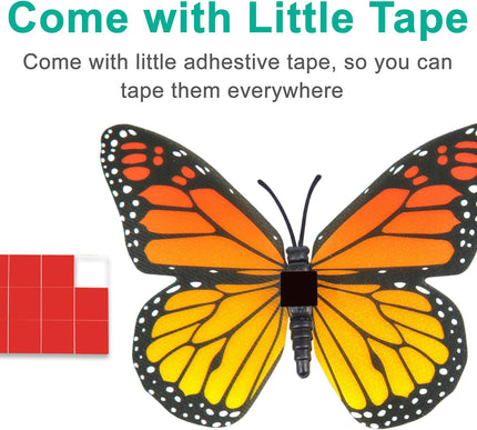 Product Image 6 - Yzurbu 24pcs Monarch B